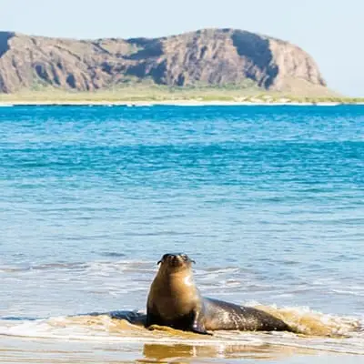 SAN CRISTOBAL ISLAND