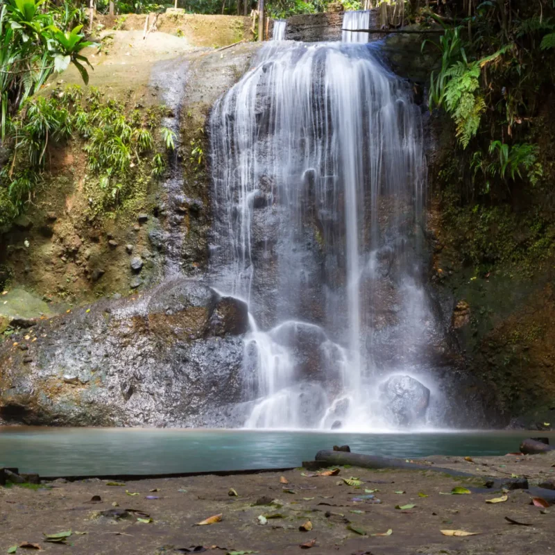 Upper,Pool,And,Waterfall,At,Colo-i-suva,Forest,Reserve