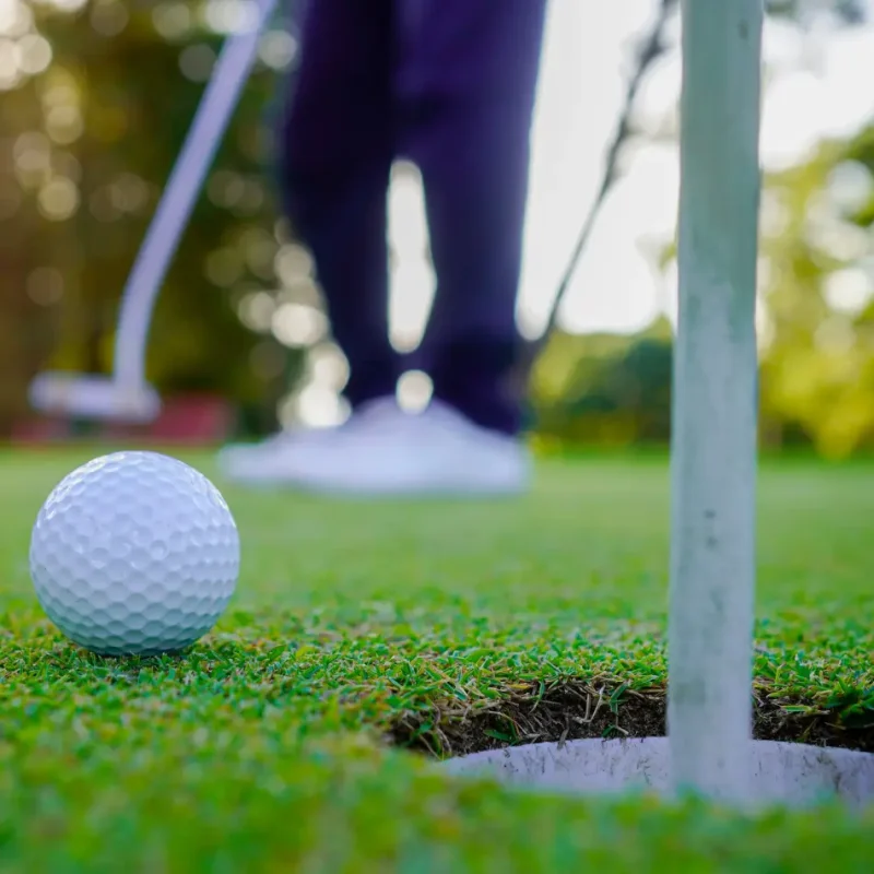 IMAGE_B_PlayingGolf