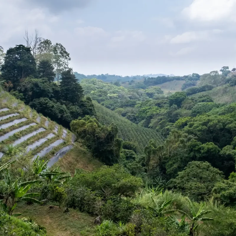 IMAGE_D_SustainableFarm