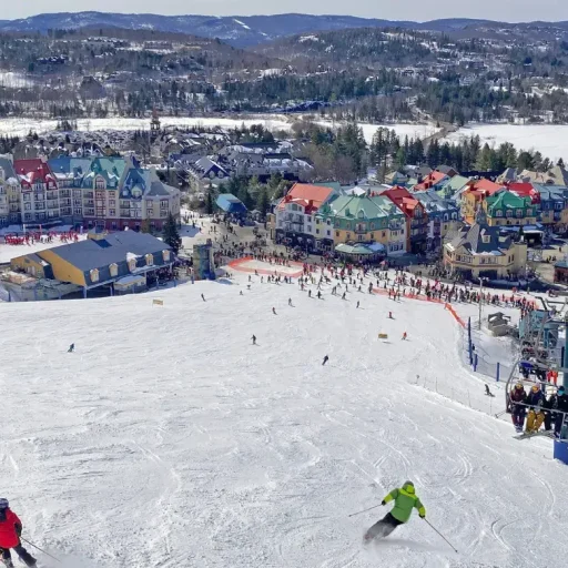 Image_A_SkiQC