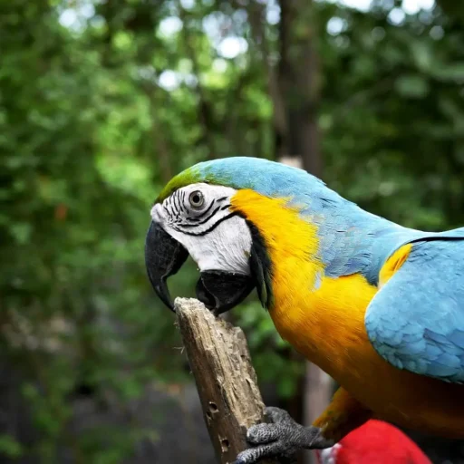 jaime-andres-perez-cadena-SP5Ti5JL9m4-unsplash-1